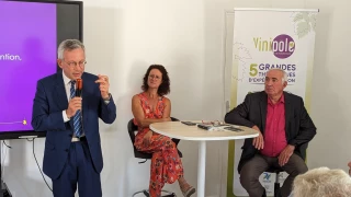 Retour sur une décennie de réflexions sur l'évolution de la vigne