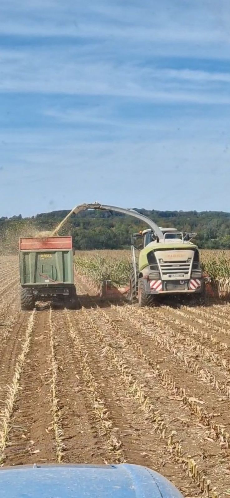 Ensilage