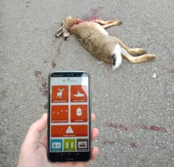 Plus qu'une application 