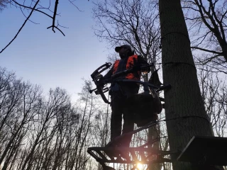 Dans les pas des chasseurs à l'arc