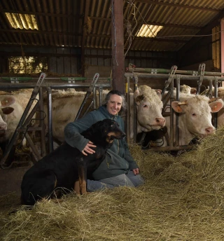 Élevage bovin : formez vous pour mieux connaître vos coûts de production