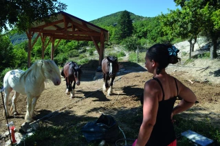 Se reconstruire avec les chevaux
