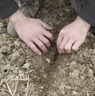 La réussite commence par une implantation de qualité