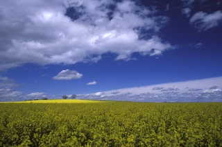 La Chambre régionale alerte les agriculteurs