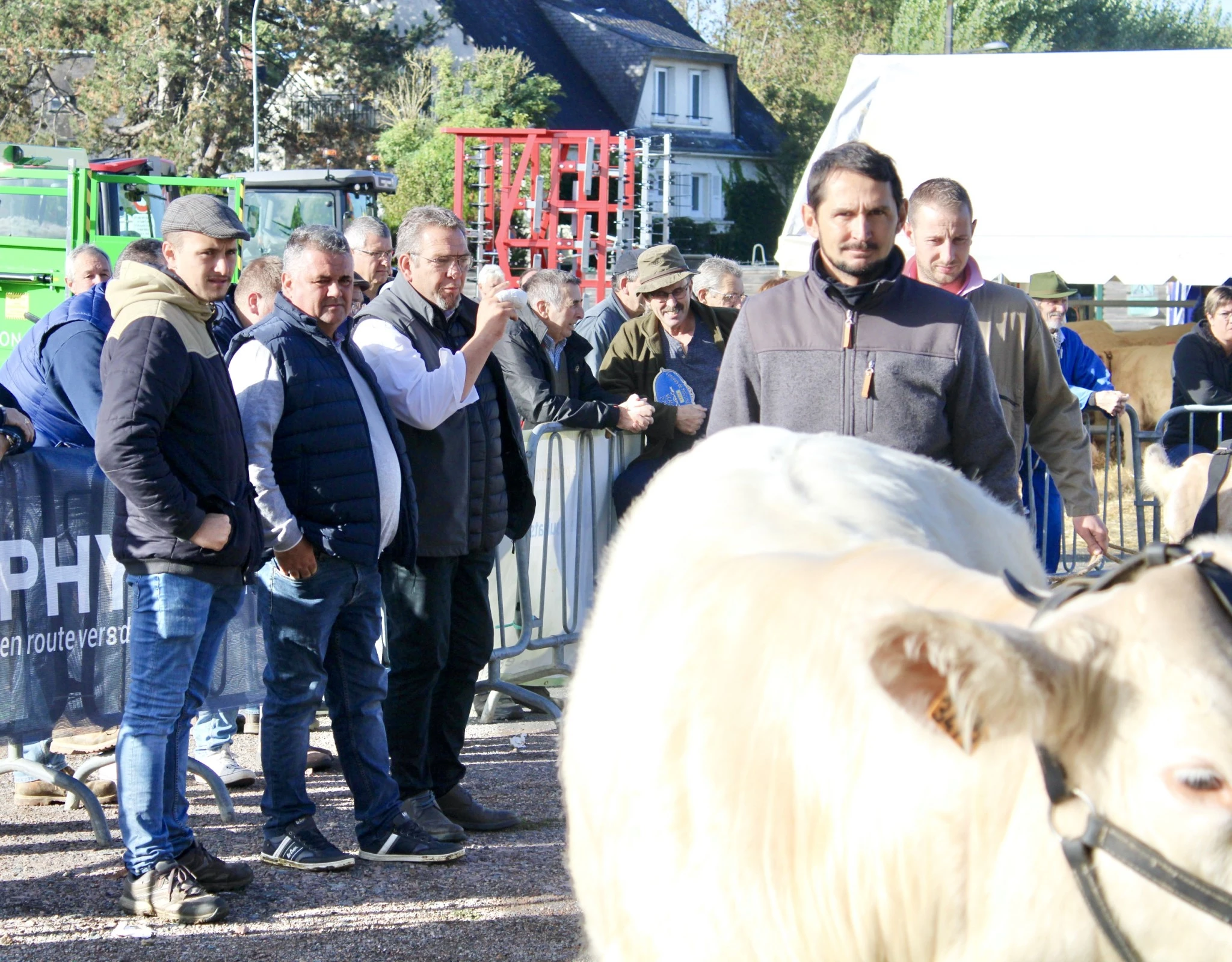PHOTO à mettre si possible