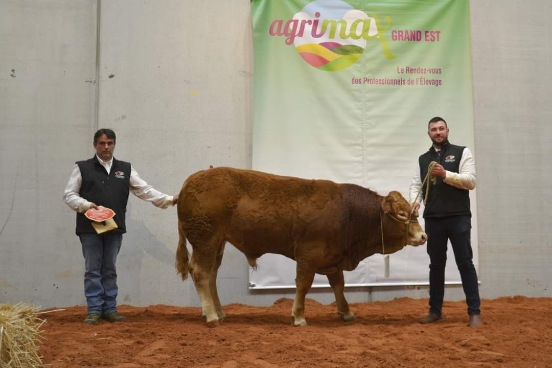 De retour d'Agrimax