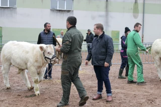 Une affluence en hausse