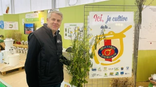 Des semis perturbés par la pluie