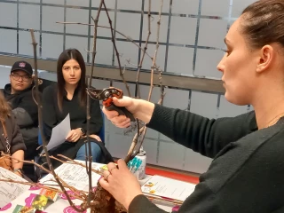 L'alliance du geste et de la réflexion pour la vigne