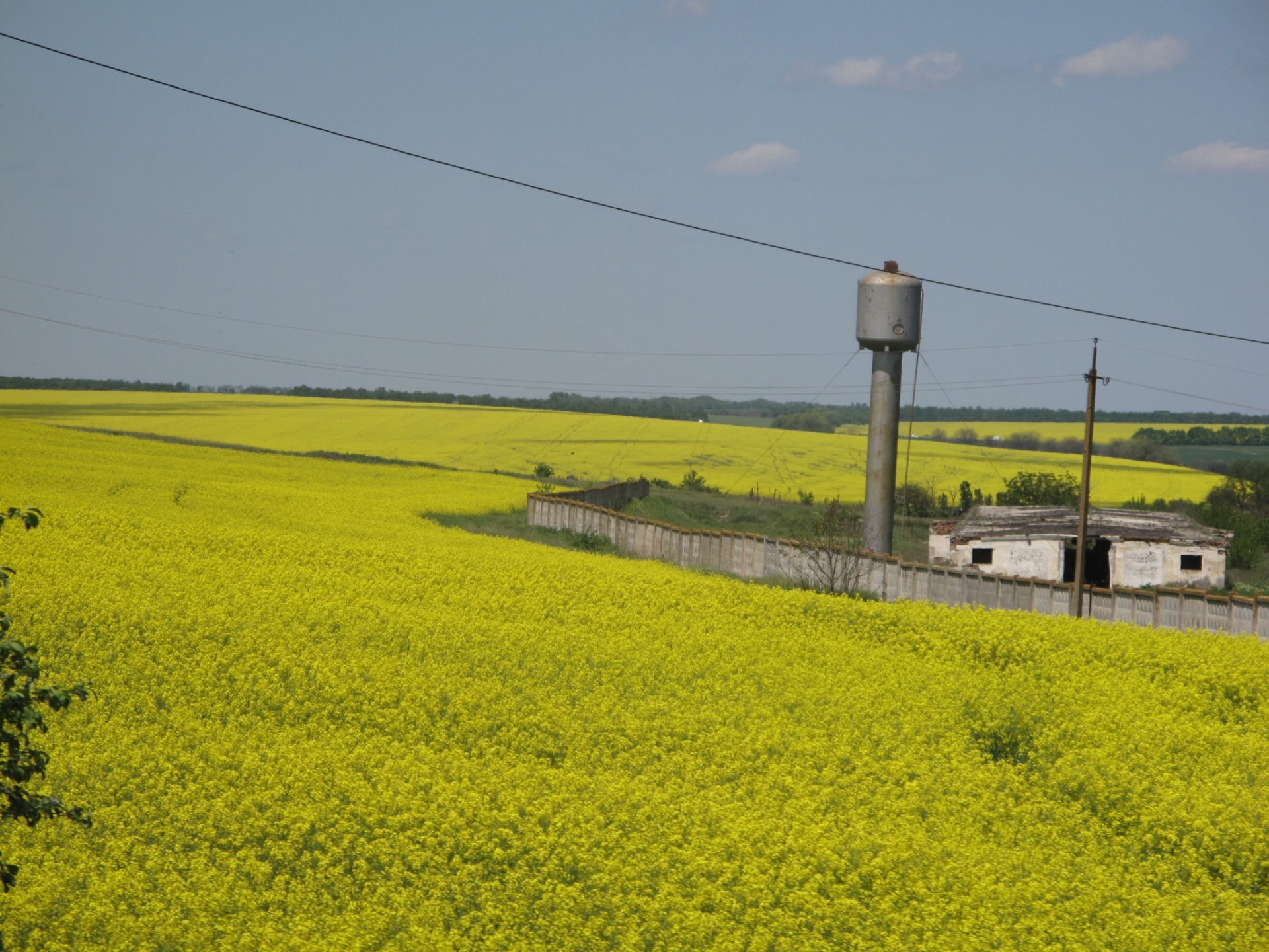 Ukraine dans l'UE : quelles conséquences agricoles ?