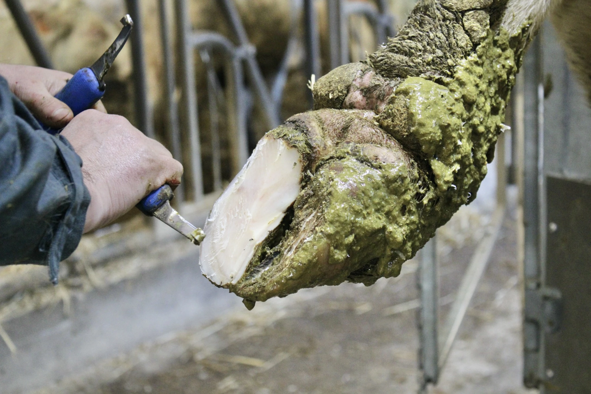 image supplémentaire