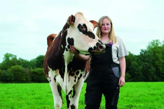 Sous le signe de la pédagogie