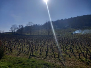 En Côte-d'Or, la stratégie de montée en gamme s'avère payante