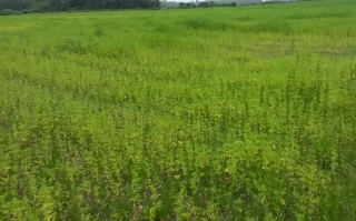 L’implantation conditionne 70% de la réussite