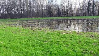 Pas d'urgence pour les prairies