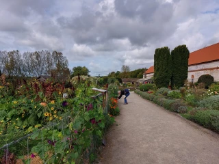 Jardin Vavilof, l'internationale végétale