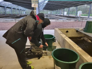 Motivés par la passion