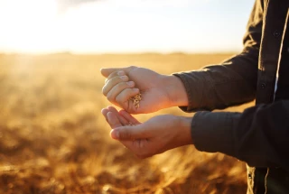 Le texte validé en conseil des ministres... mais renvoyé