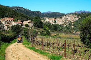 « Des efforts restent à faire »