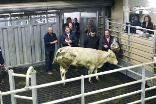 La foire aux culards arrive !