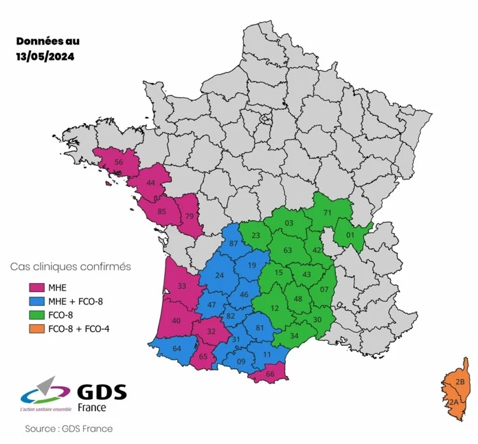Sanitaire