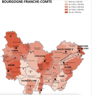 Les terres et prés de BFC sont les moins chers de France