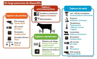 Les promesses du numérique