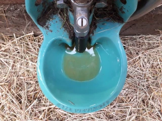 Récupérer l'eau de pluie