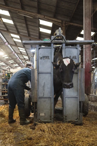 Évaluer ses besoins et adapter son exploitation avec la MSA