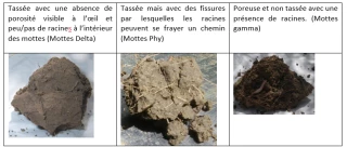 L’implantation commence dès maintenant