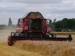 Mettre en place une stratégie face aux adventices