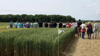 Essais Bourgogne du Sud : « Personne n'est devin »
