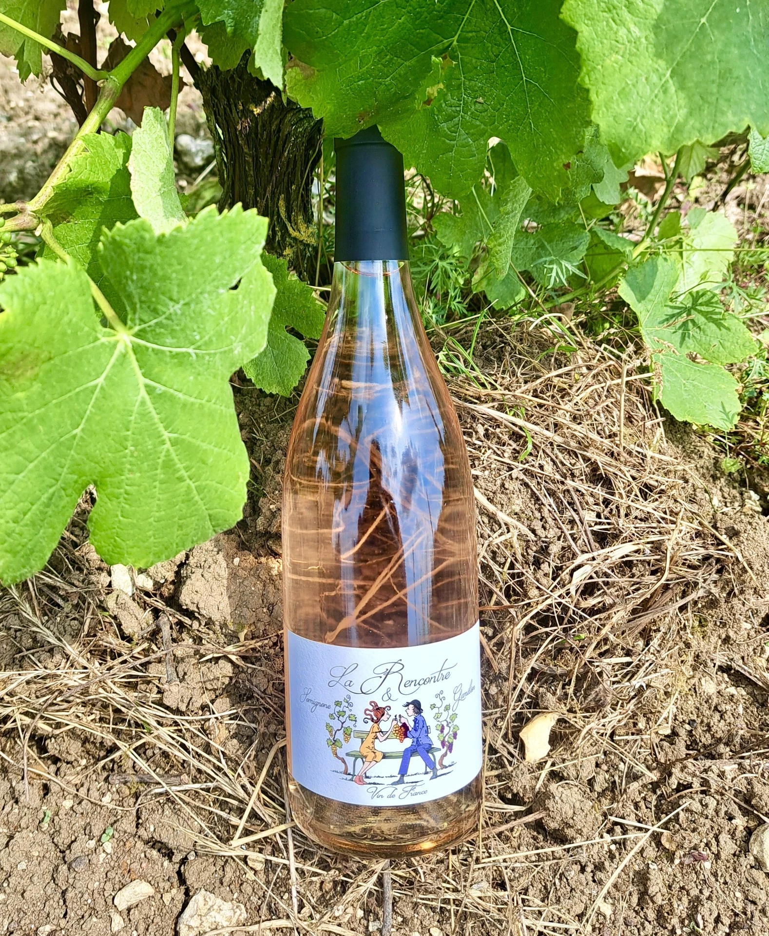 Nouvelle cuvée ! 