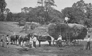 Quel visage avait l'agriculture en 1924 ?