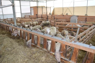 Une filière diversifiée en Bourgogne-Franche-Comté