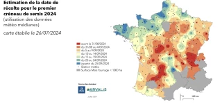 Une récolte qui s'annonce plus tardive