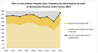 L'énergie, un débouché croissant