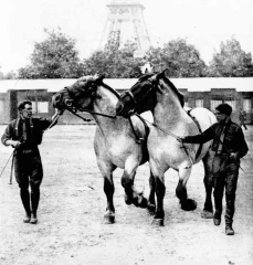  L’agriculture française pendant les JO de 1924 (épisode 4)