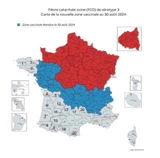 Des maladies vectorielles en recrudescence