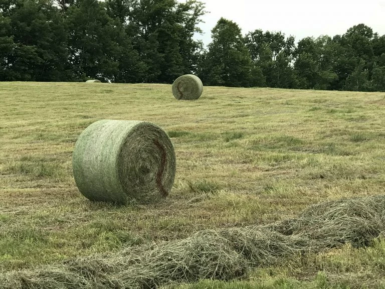 Des solutions pour identifier les balles