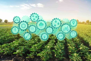Des gains de productivité à attendre