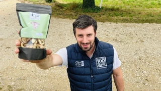 Des pleurotes dans une ancienne salle de traite