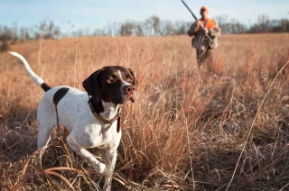 Les chasseurs se veulent acteurs de la biodiversité