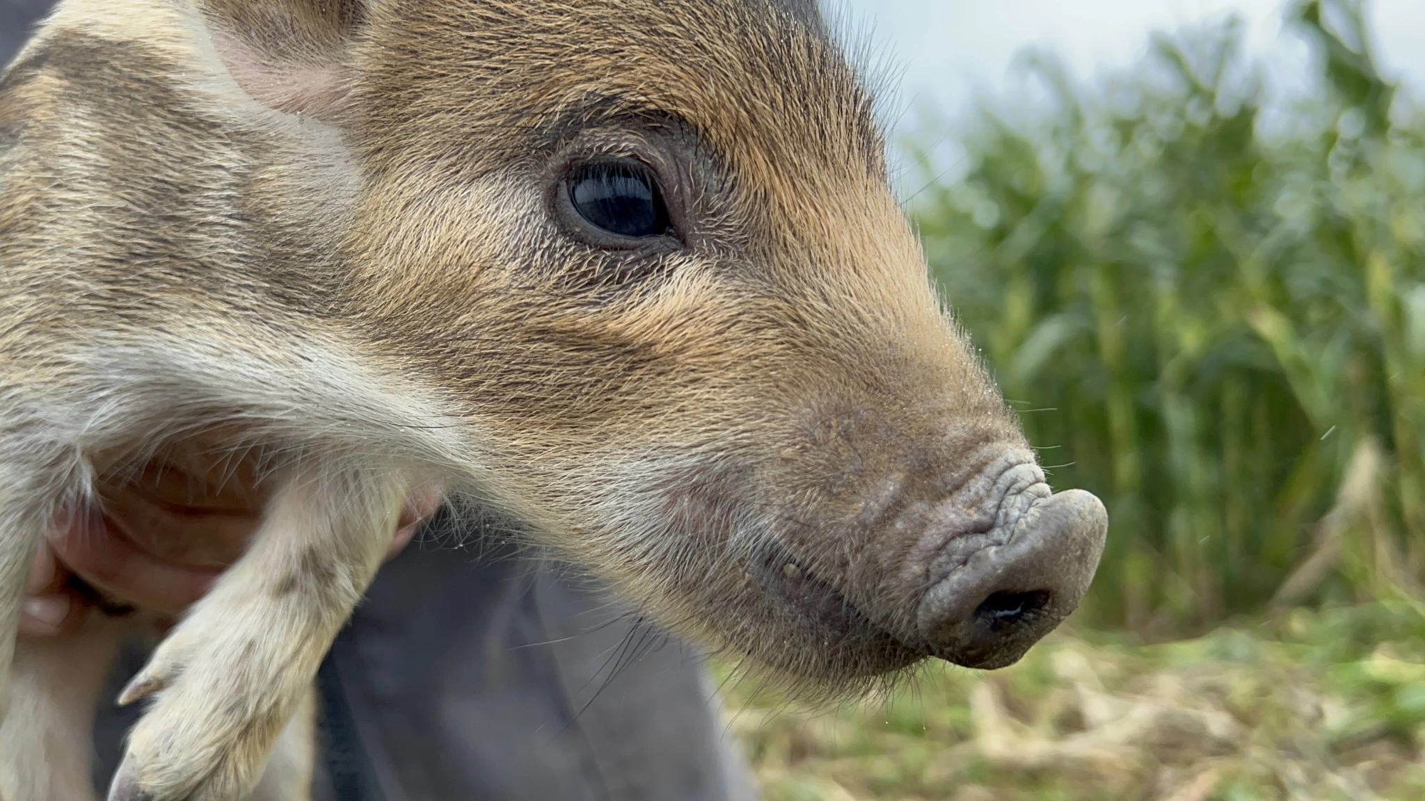 Quoi que vous fassiez, vous serez critiqués !