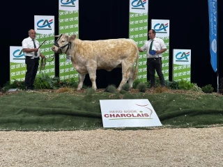 Deux premiers prix pour le 21