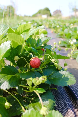 Une opportunité à saisir !