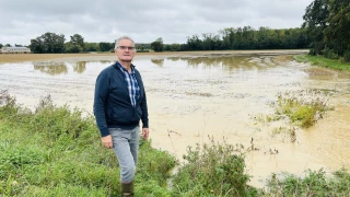 De l'eau en pagaille