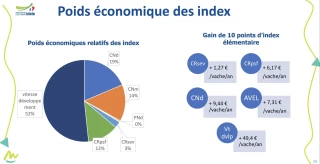 En quête du compromis entre vitesse de croissance et qualité