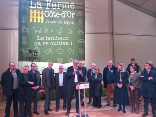 Un petit tour dans les allées