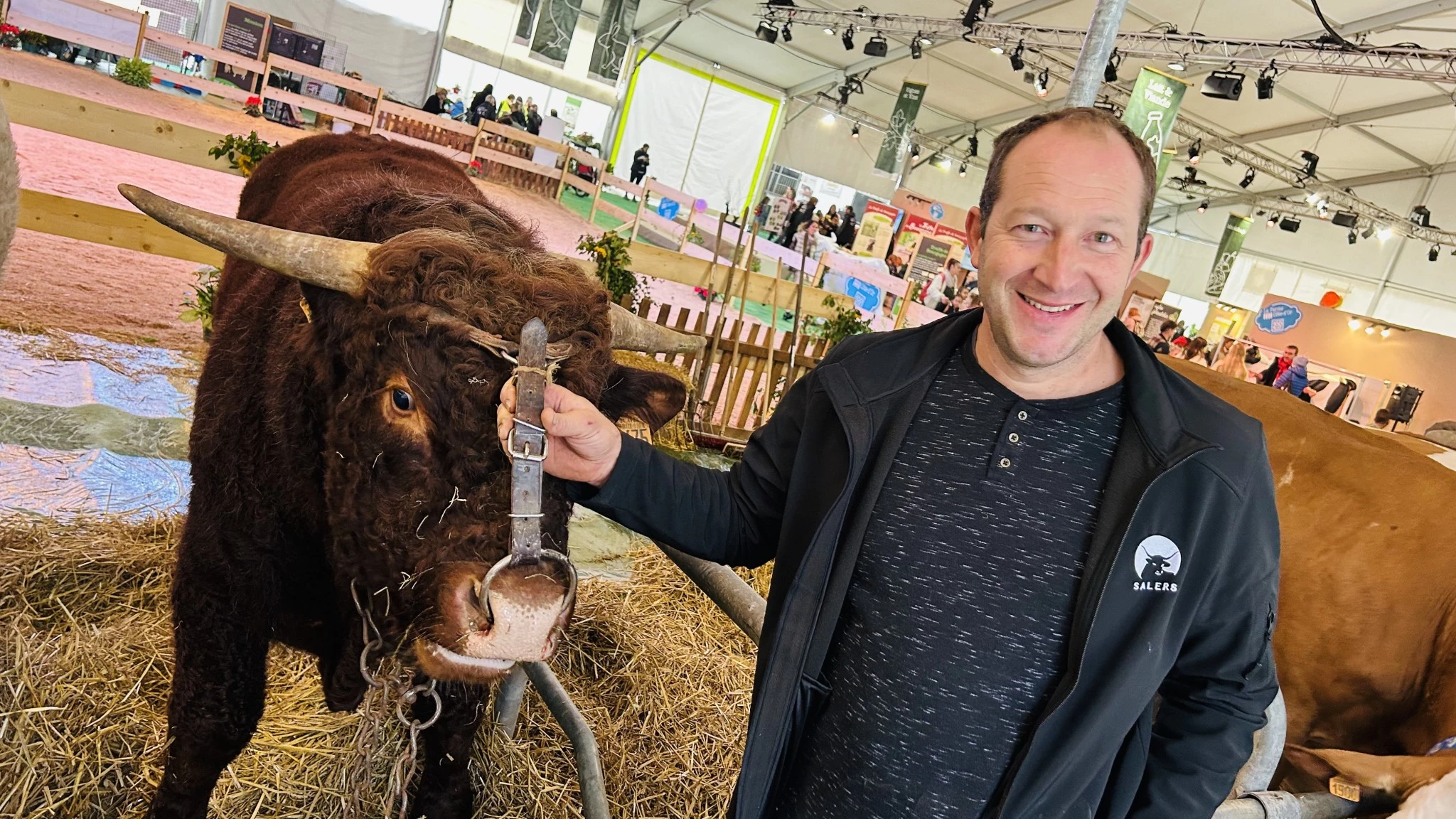 Oh, le beau bison !